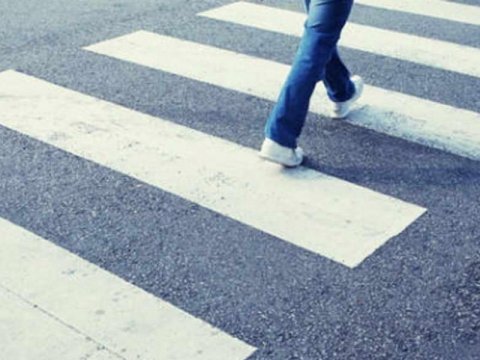 Ekspert: “Piyada keçidlərinə divar boyası çəkirlər, pullar isə cibə gedir”