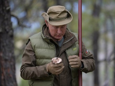 Putin ad günündə göbələk yığdı – FOTOLAR
