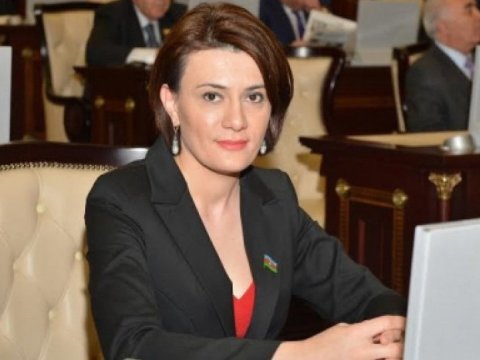 Xanım deputat qadına şiddətdən DANIŞDI: “Siz də susmayın”