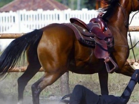Goranboyda qadını ata bağlayıb sürüyənlər polisə APARILDI  