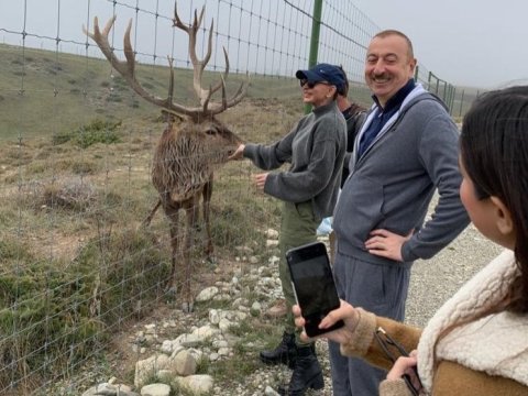 Prezident ailəsinin istirahət FOTOLARI  