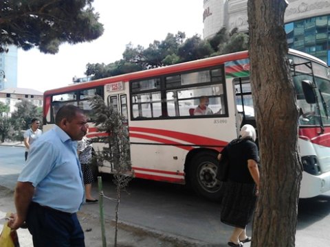 Bu marşrut xəttinə 20 yeni avtobus buraxılacaq
