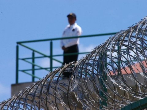 Yeni il ərəfəsində əfv sərəncamı veriləcək? - Komissiya üzvündən AÇIQLAMA