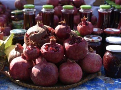 Narın vətəni Göçayda möhtəşəm festival - FOTOLAR