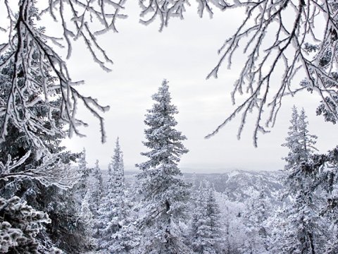 Ekoloqdan hava dəyişkənliyi barədə: “Yeni buzlaq dövrünə qədəm qoymuşuq”
