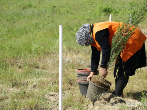 İcra Hakimiyyətləri haqqı ödənilən ictimai işlərə nə qədər işsiz cəlb edib? - SORĞU