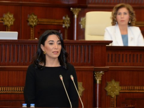Azərbaycanın yeni Ombudsmanı seçildi - DOSYE  