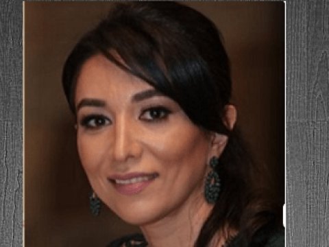 Yeni Ombudsman Səbinə Əliyeva AND İÇDİ  