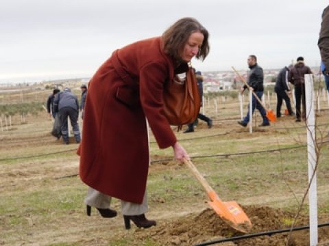 Ölkə vətəndaşları Mehriban Əliyevanın təşəbbüsünə qoşulublar - FOTOLAR  