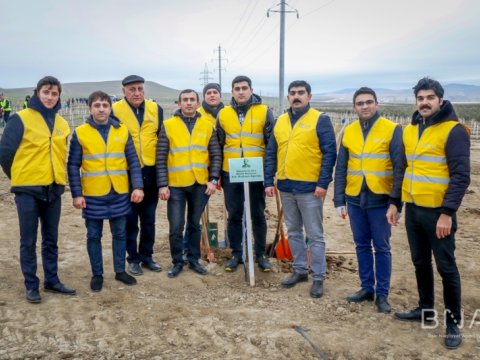 2022-ci ildən Bakıda yalnız sıxılmış qazla işləyən avtobuslar işləyəcək  