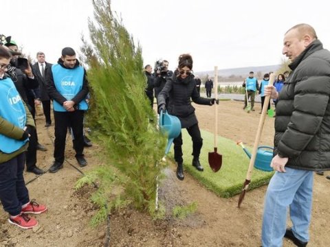 Birinci vitse-prezidentin təşəbbüsü ilə keçirilən aksiyada ən çox ağac bu rayonda əkilib