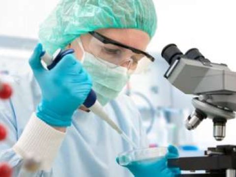 Baş infeksionistdən “donuz qripi” XƏBƏRDARLIĞI