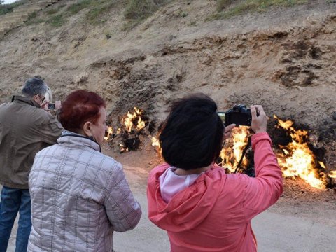 Qoruqların ziyarətçiləri qəbul edəcək vaxt açıqlanıb