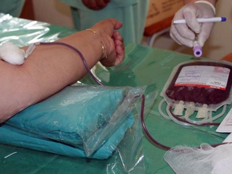 Bu il 43 tondan artıq qan tədarük edilib - Nazirlik