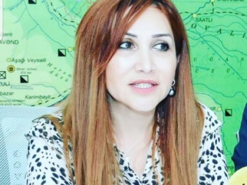Ağac kəsintisi ilə bağlı araşdırma aparılır