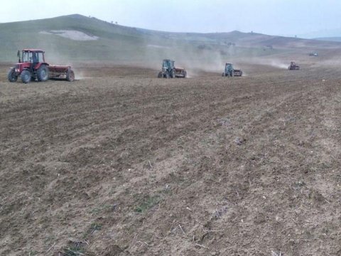 9659 fermerin torpaq sənədləri peykdən yoxlandı