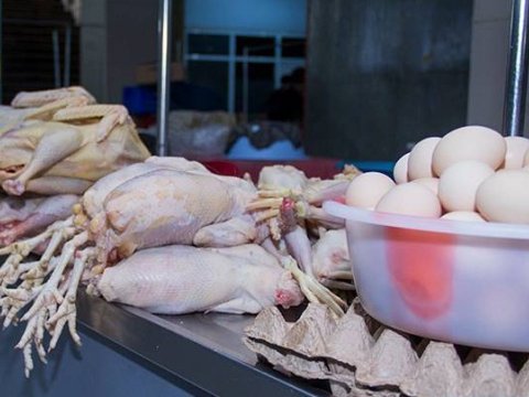 Yumurta və toyuq ətinin qiymətində BAHALAŞMA
