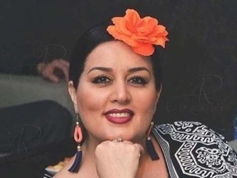 MSK Elza Seyidcahanın şikayətini DSK-ya göndərdi