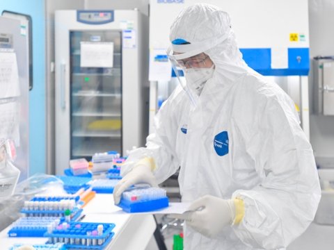 Koronavirus əleyhinə peyvənd test olunmağa başlayır