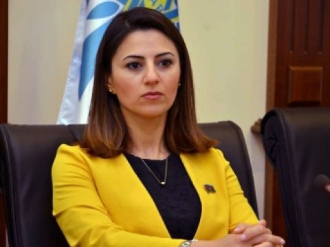 Sevinc Fətəliyevanın lider olduğu dairədən daha bir şikayətə BAXILDI