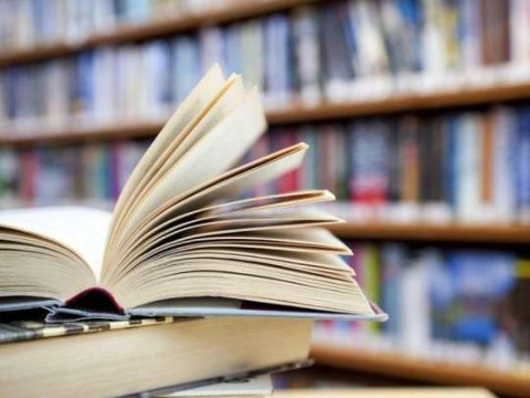 Kurikulum və Boloniya sistemləri nə dərəcədə faydalıdır?