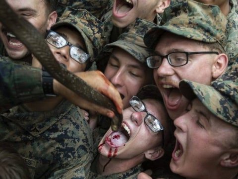 Hərbi təlimlər: su əvəzinə kobra qanı içirlər – FOTOLAR
