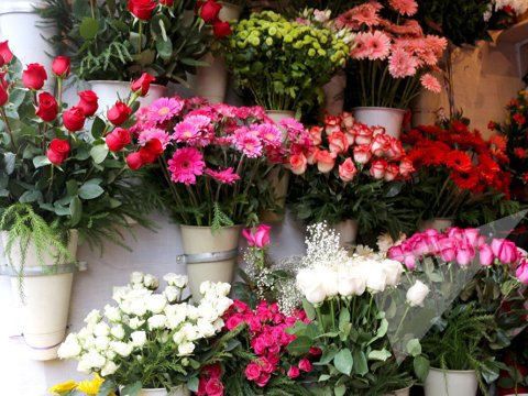 Koronavirus gül bazarını da “vurdu” - 8 Martda qiymətlər bahalaşmayacaq