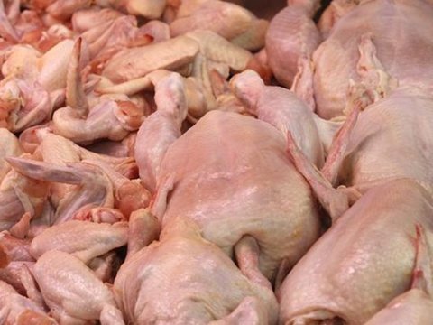 Quşçuluq məhsullarının idxalına qoyulan qadağa aradan götürüldü