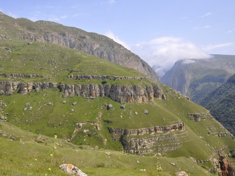 Nazirlik “evdə qal, təbiəti seyr et” rubrikasına start verdi