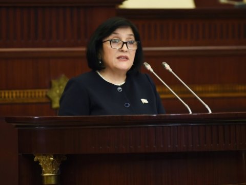 Milli Məclisin iclasının onlayn keçirilməsi üçün iş aparılır - Sahibə Qafarova