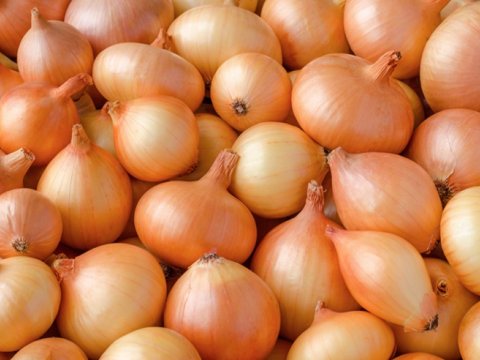 Soğanın qiyməti iki dəfə BAHALAŞDI - Nazirlik səbəbləri açıqladı
