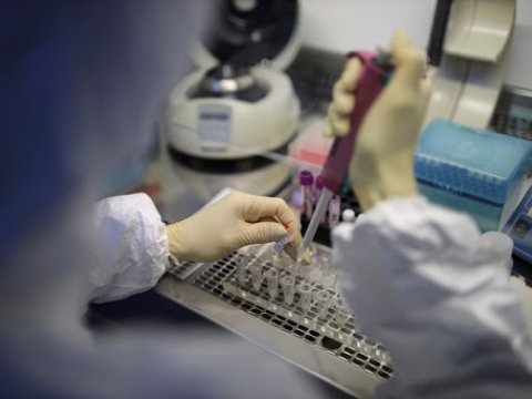 ABŞ-da koronavirusun olub-olmaması 15 dəqiqəyə bilinəcək