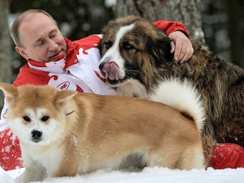 “Diş həkimliyi”ndən mətbəxə, qol güləşindən ova - Putinin qeyri-rəsmi sərgüzəştləri 