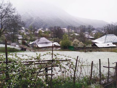Şəkinin Şin kəndinə qar yağdı – FOTOLAR