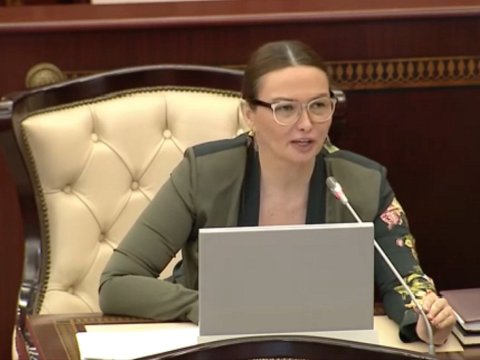Qənirə Paşayeva parlamentdə sənədsiz evlər məsələsinin həllini istədi