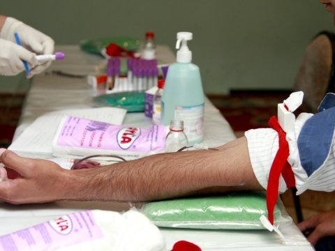 Qanvermənin bu faydası da var - Həkim açıqladı