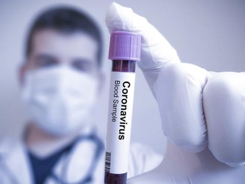 Gəncə və Ləkəranda koronavirusla bağlı son DURUM