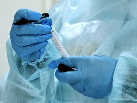 Ölkəmizdə koronavirusa yoluxanlar daha çox qadınlardır - RƏSMİ