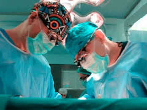 İnsan orqanlarının transplantasiyası haqqında qanun layihəsi müzakirəyə çıxarılacaq