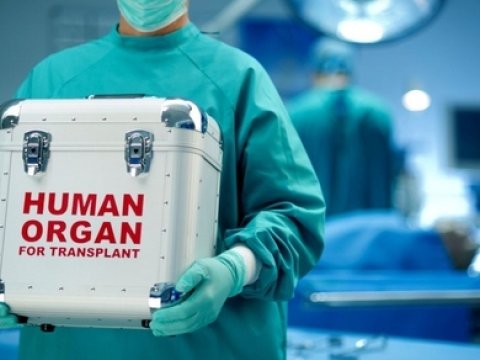 Azərbaycanda canlı donordan orqan transplantasiyası belə olacaq - QAYDALAR VƏ ŞƏRTLƏR  