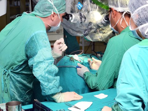 Parlament Azərbaycanda həkim-transplantoloqun vəzifələrini BƏLLİ EDİR