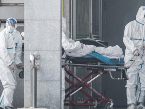 Azərbaycanda daha 262 nəfər koronavirusa yoluxdu - 2 nəfər öldü