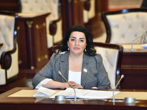 “Azərbaycan pandemiyaya qarşı təkbaşına mübarizə aparmağı bacarır” - Deputat