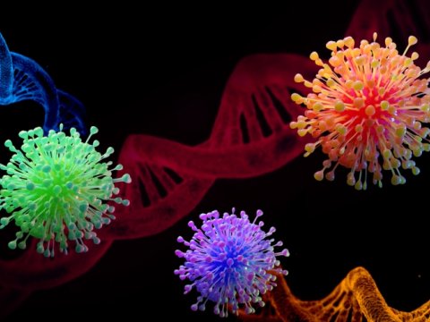 TƏBİB sədri: Virus COVID-20, COVID-21-ə çevrilə bilər”