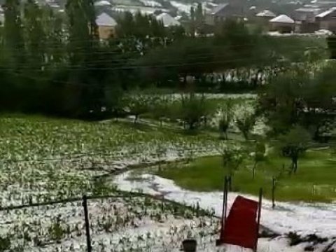 Gədəbəyə yağan qar və dolu rayona ziyan vurdu - İcra Hakimiyyəti