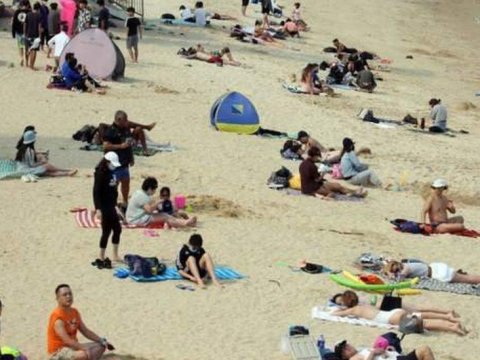 Çimərliklər virusa yoluxma riskini artırır? - Azərbaycanlı professordan xəbərdarlıq!