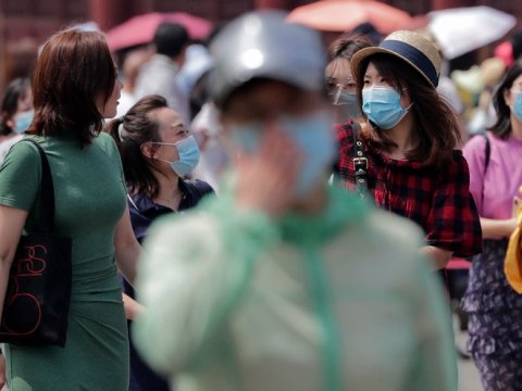 Çin alimləri donuzlarda yeni virus tapdı