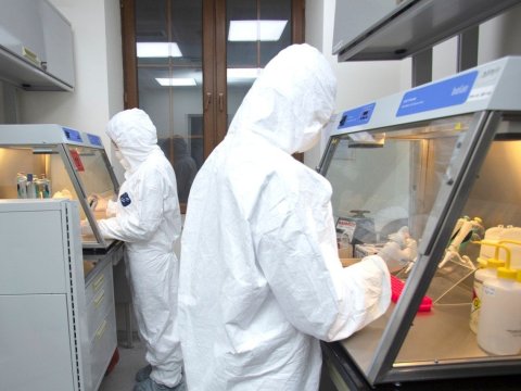 Koronavirusla mübarizə üçün planlar hazırlamışıq - Yaqut Qarayeva