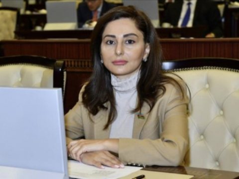 Azərbaycanlı deputat: “Terror təşkilatları qarşılıqlı əlaqə saxlayırlar”