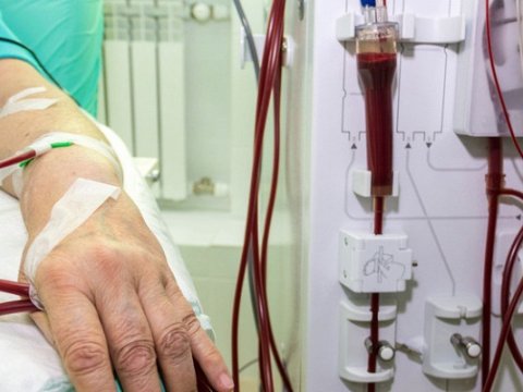 Monqolustanda koronavirusdan daha təhlükəli xəstəlik yayılır